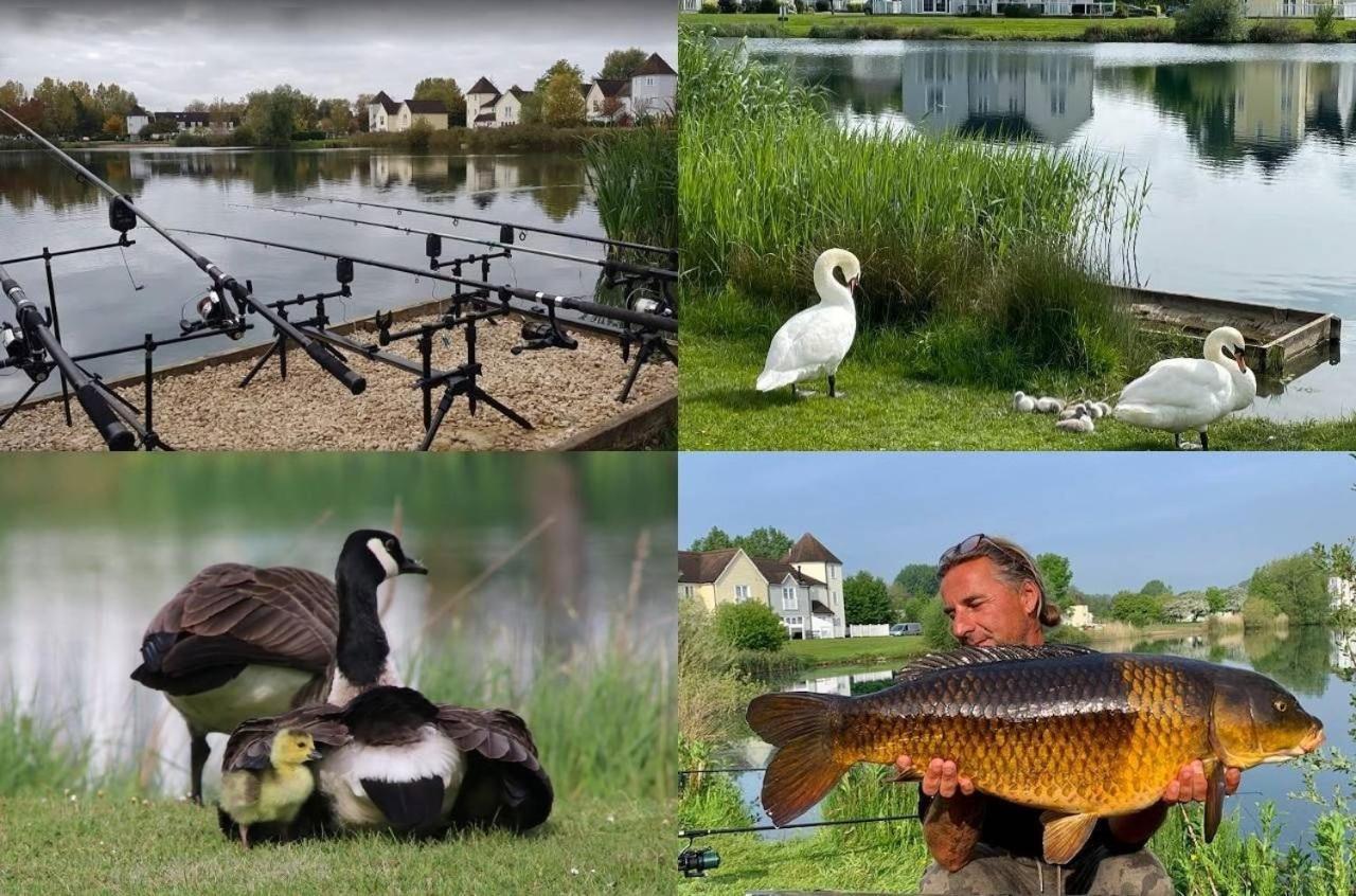 Windrush Lake 65, Sunset Lodge - P South Cerney Buitenkant foto